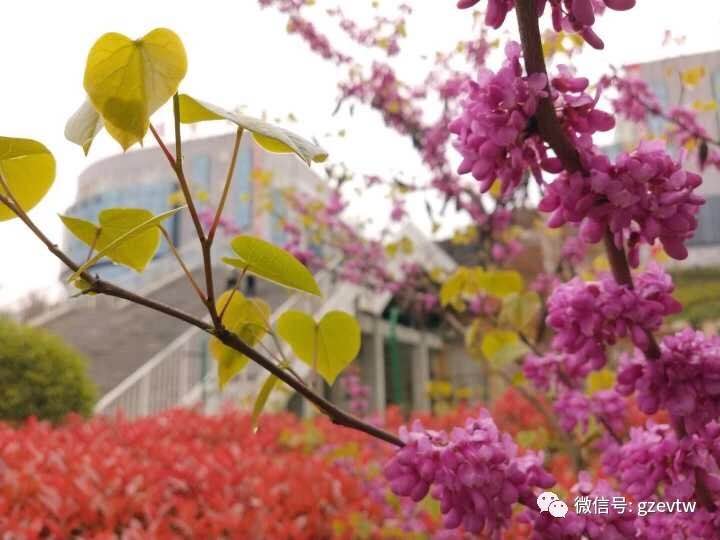 我在beat365等你(图37)