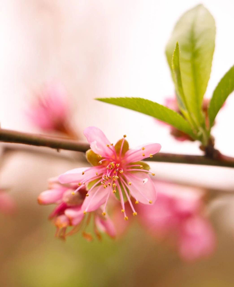 我在beat365等你(图33)