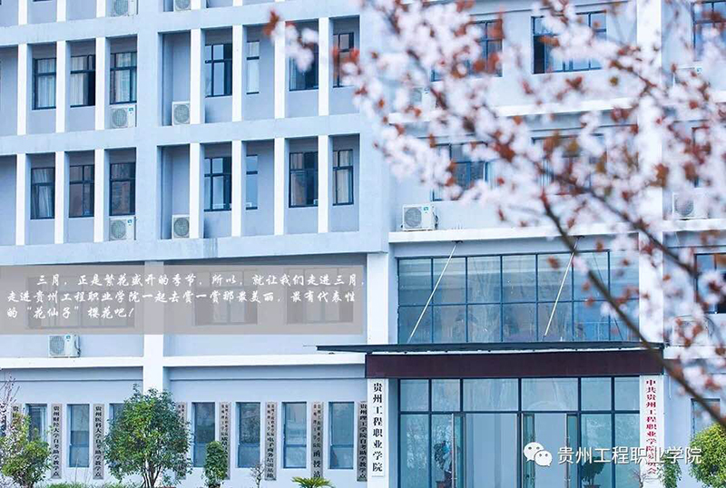 我在beat365等你(图3)