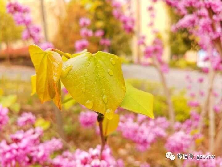 我在beat365等你(图36)