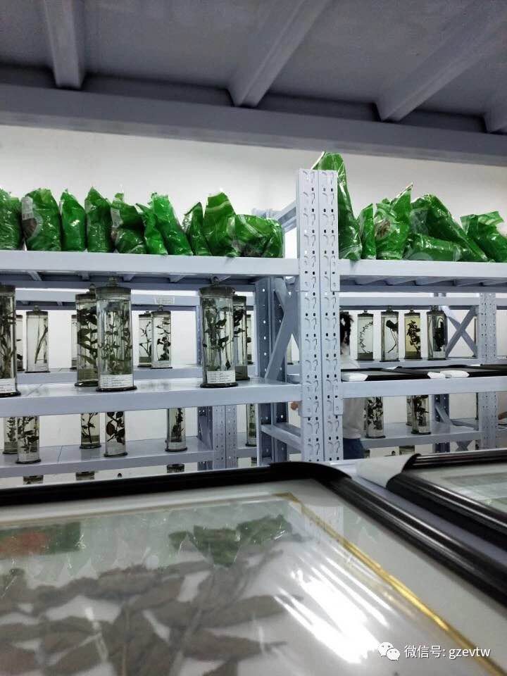 我在beat365等你(图13)