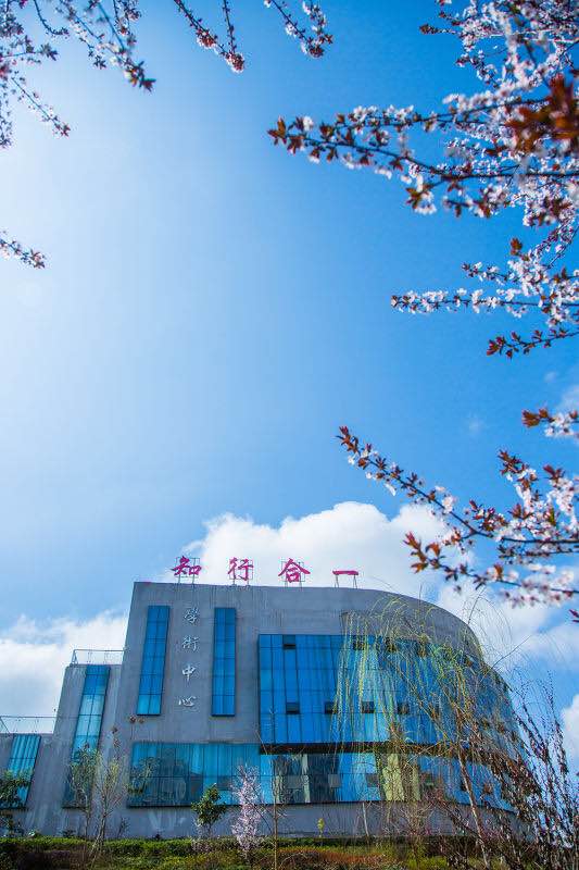 我在beat365等你(图5)