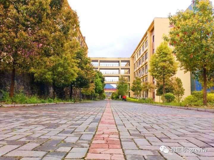 我在beat365等你(图40)