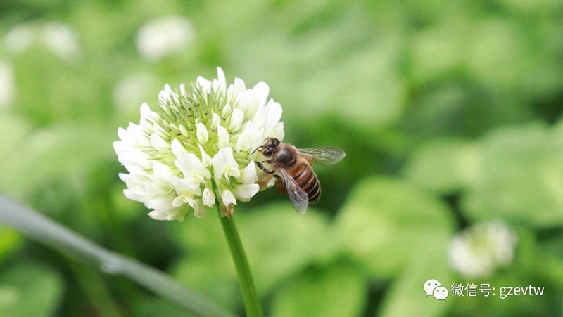 我在beat365等你(图38)