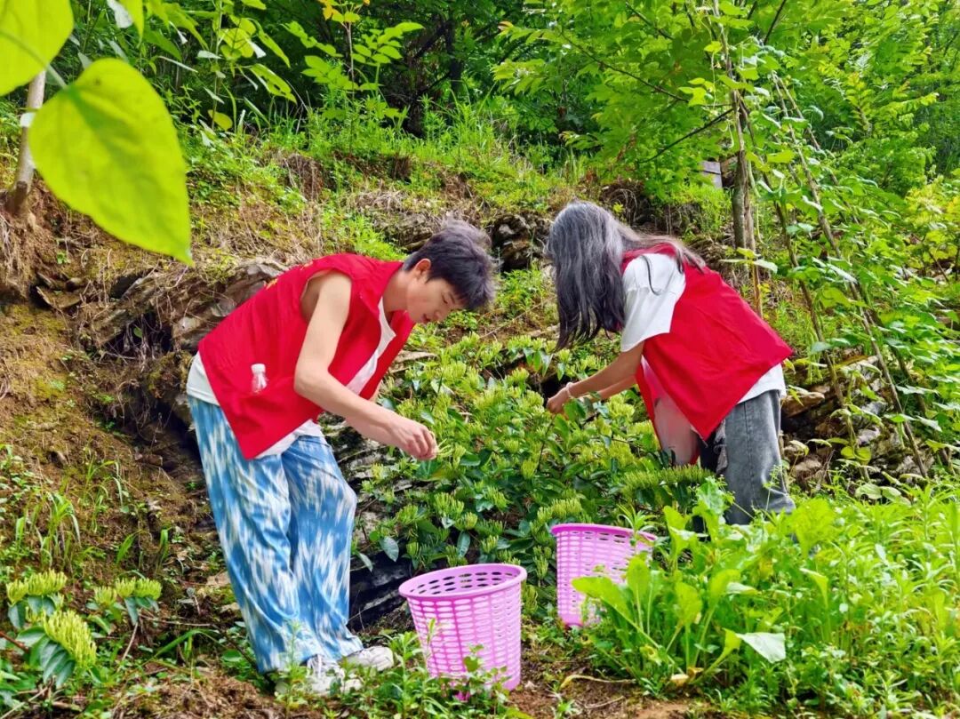 beat365中国官方网站在务川开展“三下乡”社会实践活动(图1)