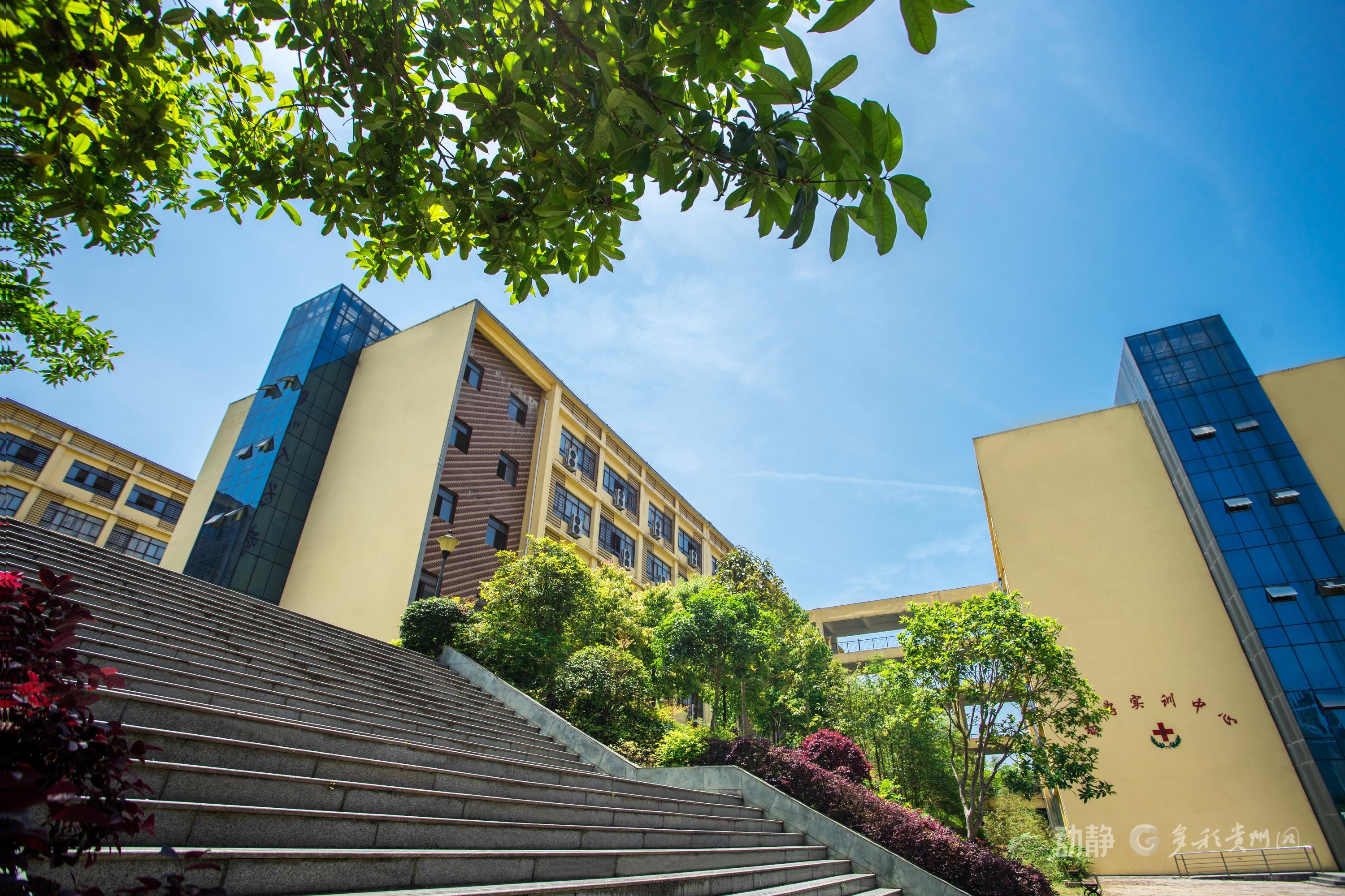 锚定职业教育航向 beat365中国官方网站十年砥砺铸华章(图2)