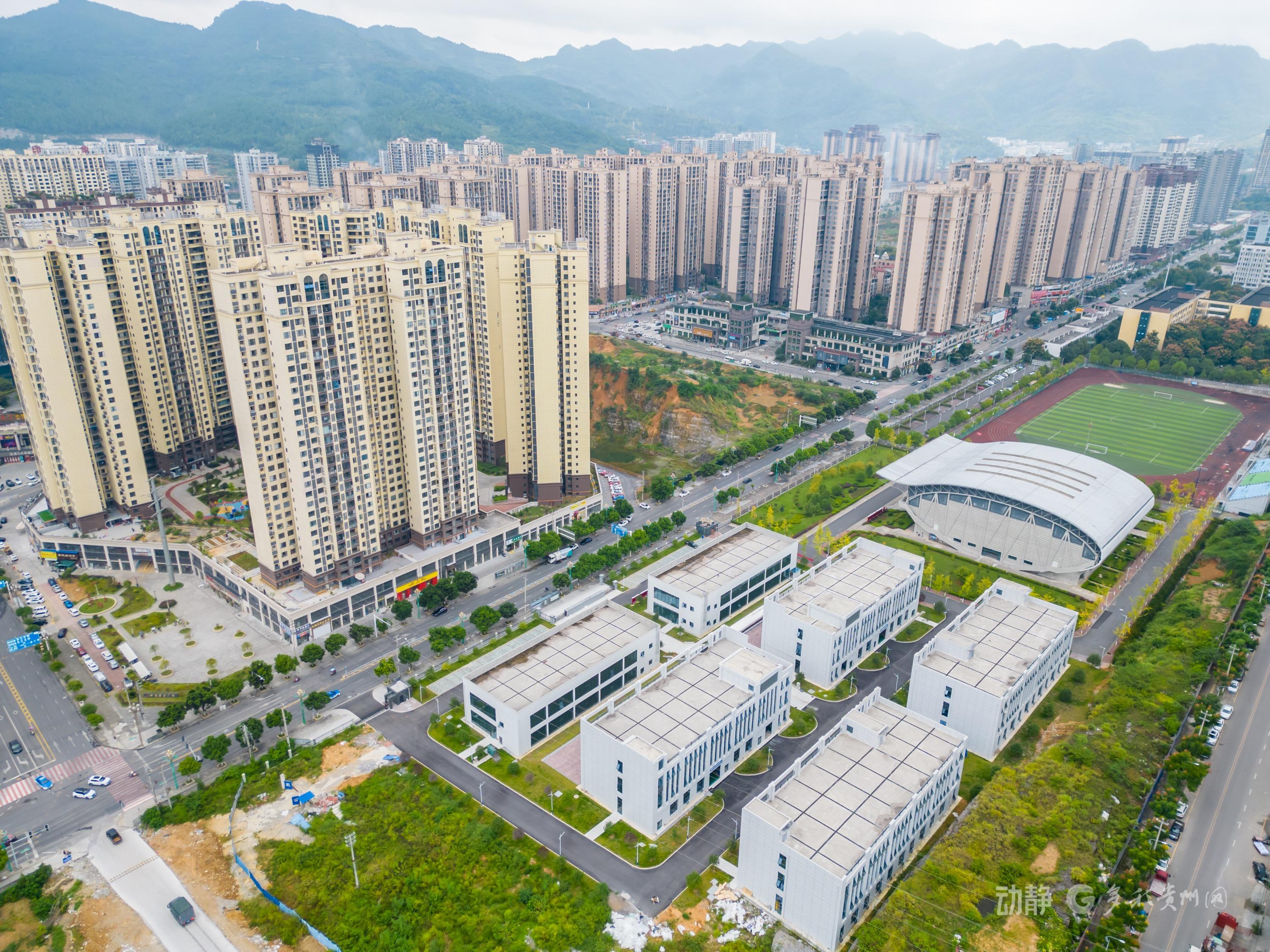 锚定职业教育航向 beat365中国官方网站十年砥砺铸华章(图19)